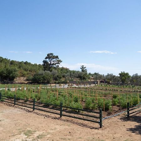 Leone Natural Ayvalı Extérieur photo